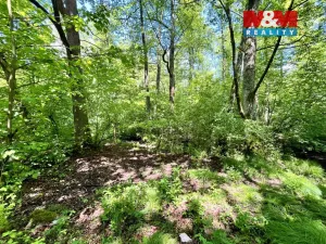 Prodej rybníku, Skalice u České Lípy, 3255 m2