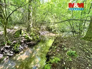 Prodej rybníku, Skalice u České Lípy, 3255 m2