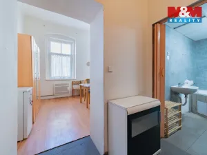 Prodej bytu 1+kk, Cheb, Mánesova, 26 m2