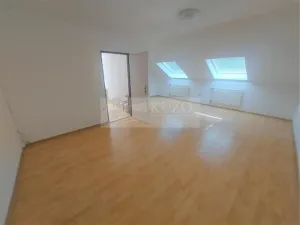 Pronájem bytu 4+kk, Praha, U zeleného ptáka, 113 m2