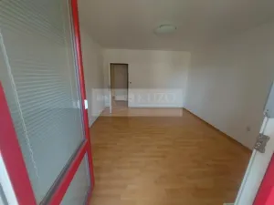 Pronájem bytu 4+kk, Praha, U zeleného ptáka, 113 m2