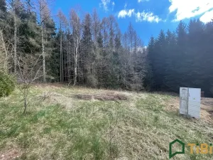 Prodej pozemku pro bydlení, Gruna, 1753 m2