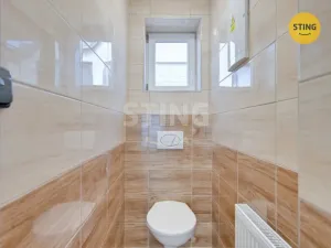 Prodej chalupy, Strachotín, Šakvická, 270 m2