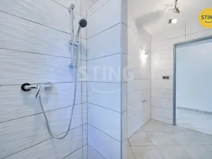 Prodej chalupy, Strachotín, Šakvická, 270 m2