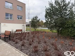 Pronájem bytu 1+kk, Chlumec nad Cidlinou - Chlumec nad Cidlinou IV, Rooseveltova, 38 m2