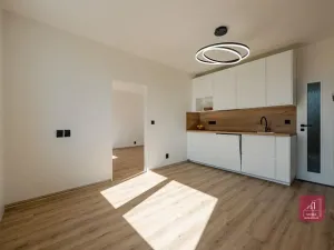 Prodej bytu 2+kk, Brno, třída Generála Píky, 47 m2