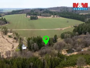 Prodej chaty, Bory - Dolní Bory, 49 m2