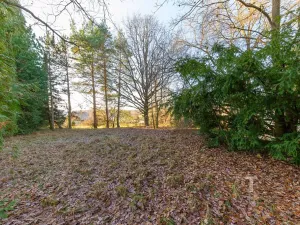 Prodej pozemku pro bydlení, Vrchotovy Janovice, 157355 m2