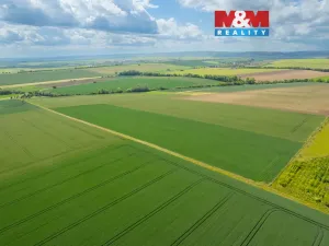 Prodej pole, Šumice, 37901 m2