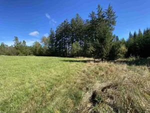 Prodej pole, Nový Rychnov - Čejkov, 4706 m2