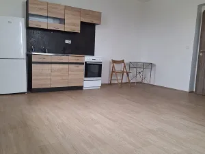 Pronájem bytu 1+kk, Chotěšov, Ořechová, 38 m2