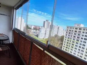 Pronájem bytu 1+kk, Pardubice - Polabiny, Gagarinova, 30 m2