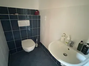 Pronájem rodinného domu, Písek, V Lukách, 400 m2