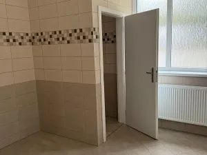 Pronájem skladu, Ostrov, 330 m2