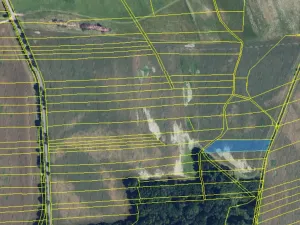 Prodej pole, Bohuslavice, 116905 m2