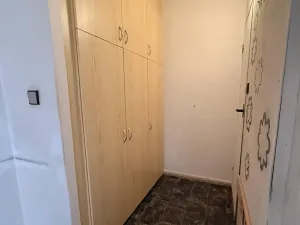 Pronájem bytu 1+1, Karviná, Borovského, 40 m2