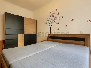 Pronájem bytu 2+kk, Brno, Botanická, 56 m2