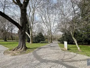 Prodej bytu 1+1, Ústí nad Labem, Sadová, 52 m2