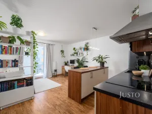 Prodej bytu 1+kk, České Budějovice - České Budějovice 2, Husova tř., 36 m2