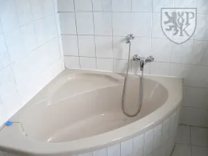 Prodej rodinného domu, Blatná, Rybářská, 210 m2