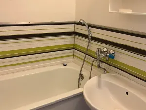 Pronájem bytu 1+1, Jihlava, Vrchlického, 32 m2