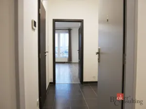 Pronájem bytu 1+kk, Plzeň - Jižní Předměstí, Nemocniční, 30 m2