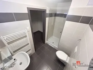 Pronájem bytu 1+kk, Plzeň - Jižní Předměstí, Nemocniční, 30 m2