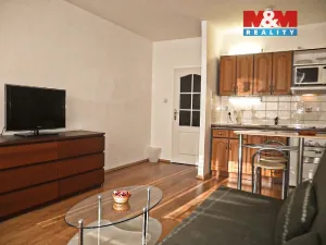 Pronájem bytu 1+kk, Ostrava - Moravská Ostrava, 30. dubna, 28 m2