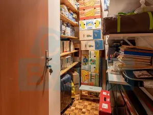 Prodej bytu 1+kk, Praha - Troja, Hnězdenská, 41 m2