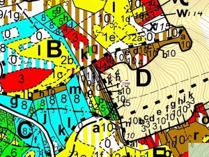 Dražba lesa, Spešov, 135 m2