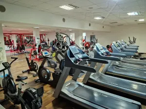 Prodej obchodního prostoru, Znojmo, Vídeňská třída, 5100 m2