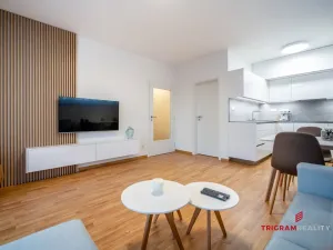 Pronájem bytu 2+kk, Hradec Králové - Nový Hradec Králové, Antonína Petrofa, 50 m2