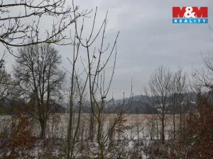 Prodej louky, Náchod - Běloves, 20495 m2