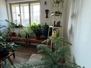 Prodej vícegeneračního domu, Luboměř, 160 m2