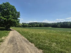 Prodej zahrady, Kunice, 1258 m2