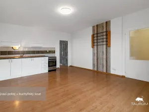 Prodej bytu 2+kk, Plzeň - Jižní Předměstí, Karlova, 51 m2