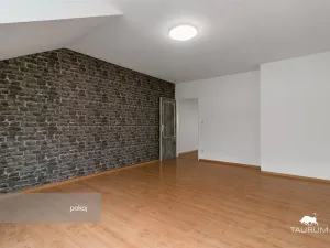 Prodej bytu 2+kk, Plzeň - Jižní Předměstí, Karlova, 51 m2