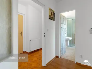 Prodej bytu 2+kk, Plzeň - Jižní Předměstí, Karlova, 51 m2