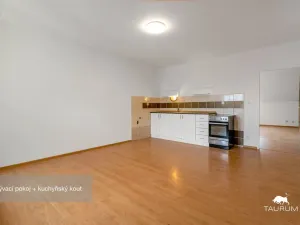 Prodej bytu 1+1, Plzeň - Jižní Předměstí, Karlova, 51 m2