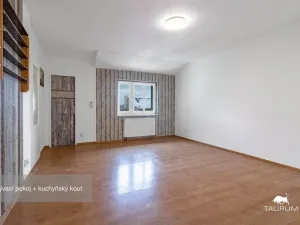 Prodej bytu 1+1, Plzeň - Jižní Předměstí, Karlova, 51 m2