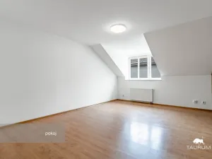 Prodej bytu 1+1, Plzeň - Jižní Předměstí, Karlova, 51 m2