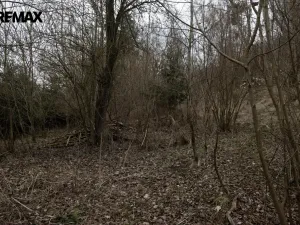 Prodej zahrady, Brtnice, 2388 m2