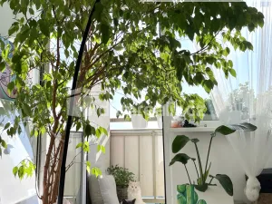 Pronájem bytu 2+1, Roudnice nad Labem, Alej 17. listopadu, 63 m2