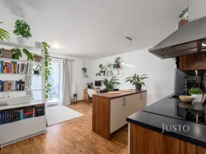 Prodej bytu 1+kk, České Budějovice, Husova tř., 36 m2