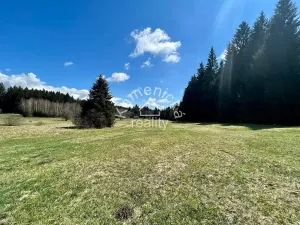 Prodej pozemku pro bydlení, Černá v Pošumaví, 25271 m2