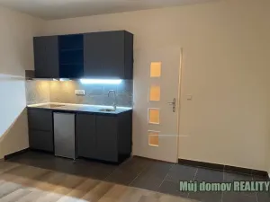 Pronájem bytu 1+kk, Praha - Vysočany, Freyova, 22 m2