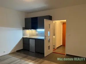 Pronájem bytu 1+kk, Praha - Vysočany, Freyova, 22 m2