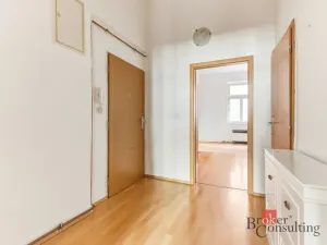 Prodej bytu 2+kk, Praha - Žižkov, Hartigova, 53 m2