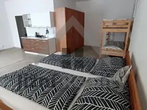 Prodej rodinného domu, Stráž nad Nežárkou, Chlumecká, 900 m2