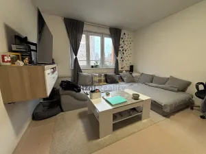 Prodej bytu 2+1, Trhové Sviny, Branka, 51 m2